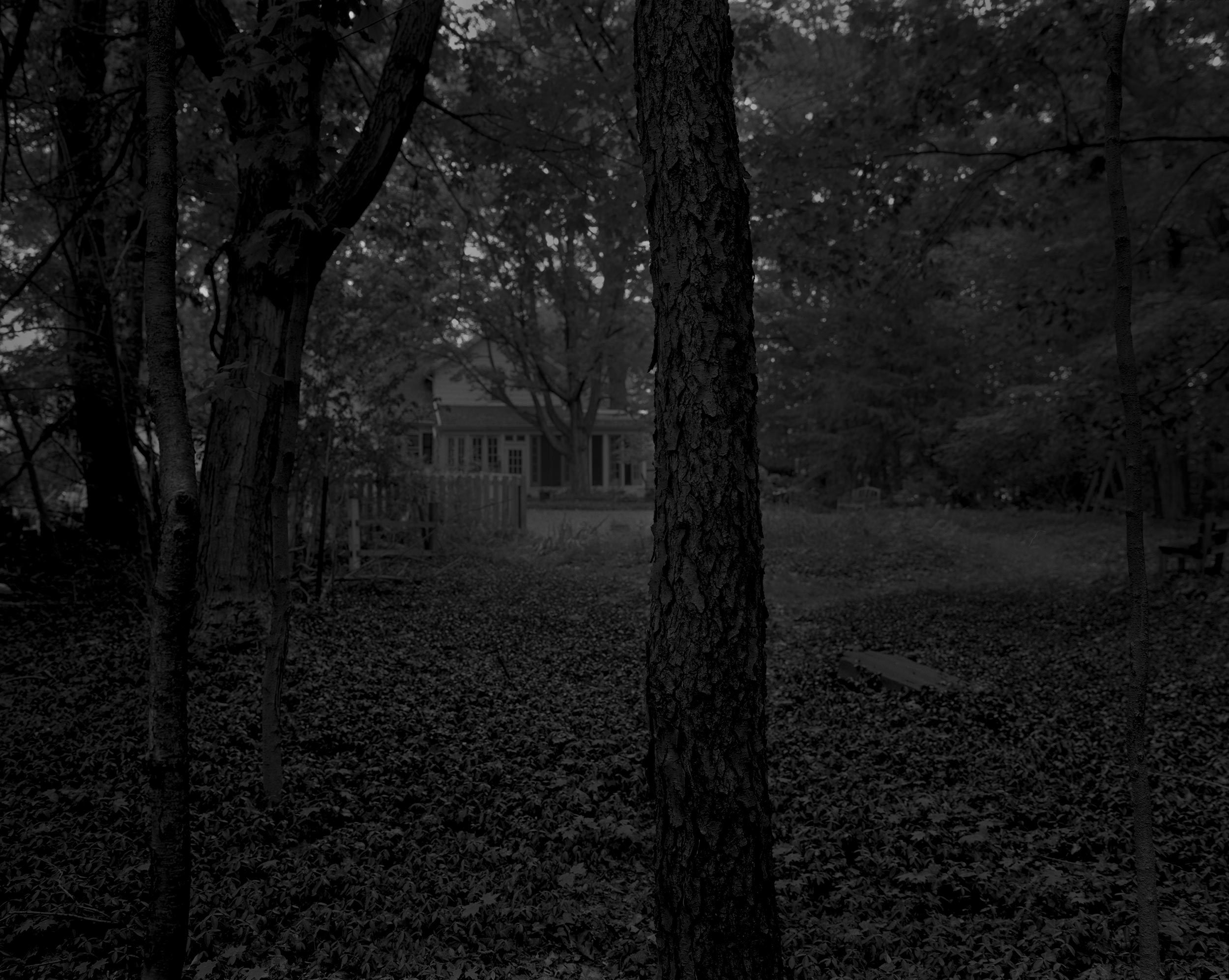Dawoud Bey, Untitled #2 (Trees and Farmhouse). Dawoud Bey, Untitled #2 (Trees and Farmhouse).
