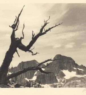 Ansel Adams: Mount Ritter and Banner Peak