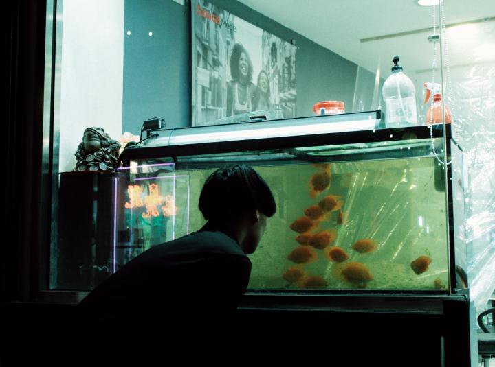 A person looking at the fish in the fish tank.